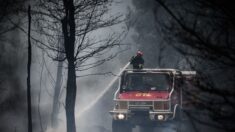 Risques d’incendie: les députés votent l’aggravation des amendes pour manquement au débroussaillement