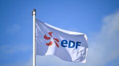 EDF: la cour d’appel de Paris rejette le recours contre la renationalisation
