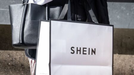 Le géant chinois Shein accusé de détruire «l’environnement et les droits humains»
