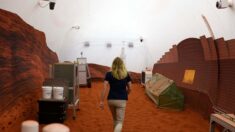 Kelly Haston, scientifique qui s’apprête à passer un an sur Mars