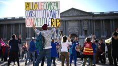 RIP: un nouveau rejet du Conseil constitutionnel interroge les limites du pouvoir du peuple