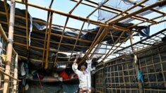 Birmanie: Sittwe, coupée du monde après le passage du cyclone Mocha