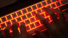 Le site du Sénat bloqué par des hackers pro-russes
