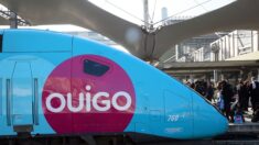 La SNCF veut doubler le nombre de passagers en Ouigo d’ici 2030
