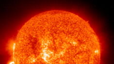 Quelles sont ces taches noires sur le soleil, visibles depuis la terre ?