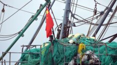 Un navire de pêche chinois chavire dans l’océan Indien, 39 personnes portées disparues