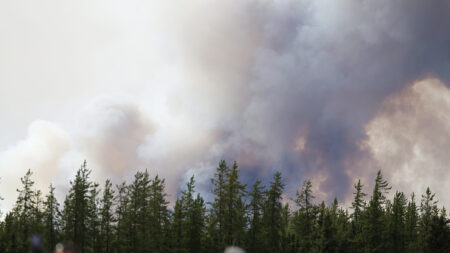 Feux de forêt au Canada: état d’urgence dans l’Alberta, 25.000 personnes évacuées