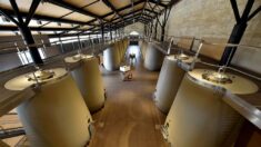 Sécheresse: face au risque incendie accru, des cuves à vin deviennent réserves d’eau