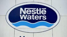 Sécheresse: Nestlé Waters suspend deux forages de son eau Hépar dans les Vosges