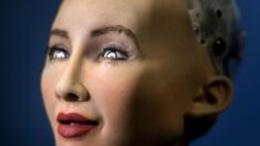 Le dernier modèle d’IA montre des signes d’intelligence « de niveau humain » selon Microsoft Research