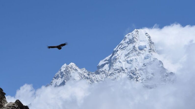 Le sommet du mont Everest (8848,86 m) au Népal. (Photo PRAKASH MATHEMA/AFP via Getty Images)