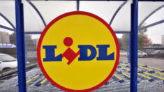 Le discounter Lidl lance son site e-commerce en France, dédié au non-alimentaire