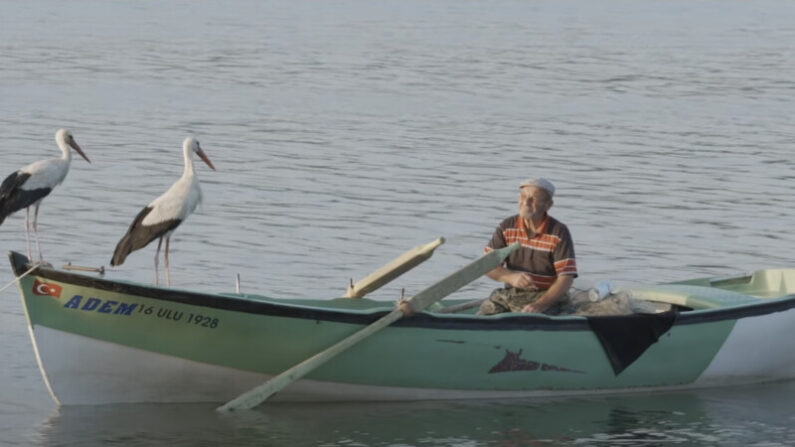 Capture d'écran de la scène du film documentaire « Yaren » mettant en scène le pêcheur et la cigogne. 