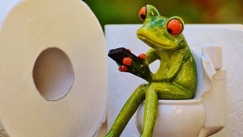 La sale vérité à propos de l'usage du portable aux toilettes… Illustration. (Pixabay)