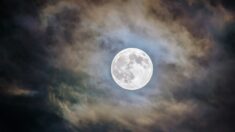 Une «Super Lune bleue» brillera dans le ciel nocturne à la fin du mois d’août