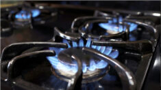 New York devient le premier État à interdire les cuisinières à gaz