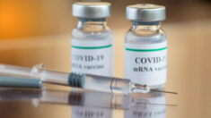 Un juge ordonne à la FDA d’accélérer la publication des données des essais du vaccin Covid-19, l’échéancier passant de 23,5 ans à seulement 2 ans