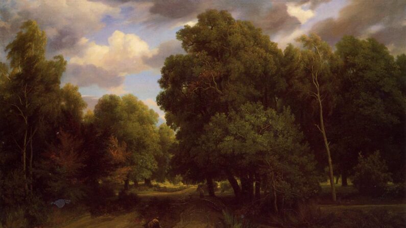 Les arbres ont beaucoup de sagesse à transmettre selon Peter Wohlleben. La croisée des chemins au nid d'aigle, forêt de Fontainebleau, 1844, par Charles-Francois Daubigny. (Domaine public)