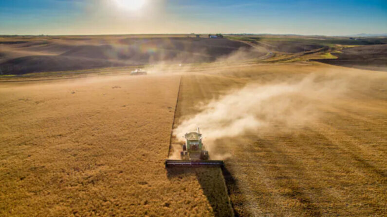 De la poussière s'élève d'une moissonneuse-batteuse lors de la récolte de l'orge à Reardan, dans l'État de Washington, le 26 septembre 2016. En une décennie, la propriété chinoise des terres agricoles américaines a augmenté de plus de 5000 %. (Getty Images)