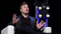 Elon Musk explique pourquoi le « virus woke » pousse au suicide civilisationnel