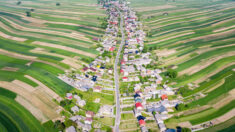 Ce village étrange aux fermes étroites et ondulées, ressemblant au pays des merveilles, a une seule route pour 6000 habitants