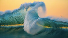 Les magnifiques images de grandes vagues du photographe d’art illustrent la puissance de l’océan