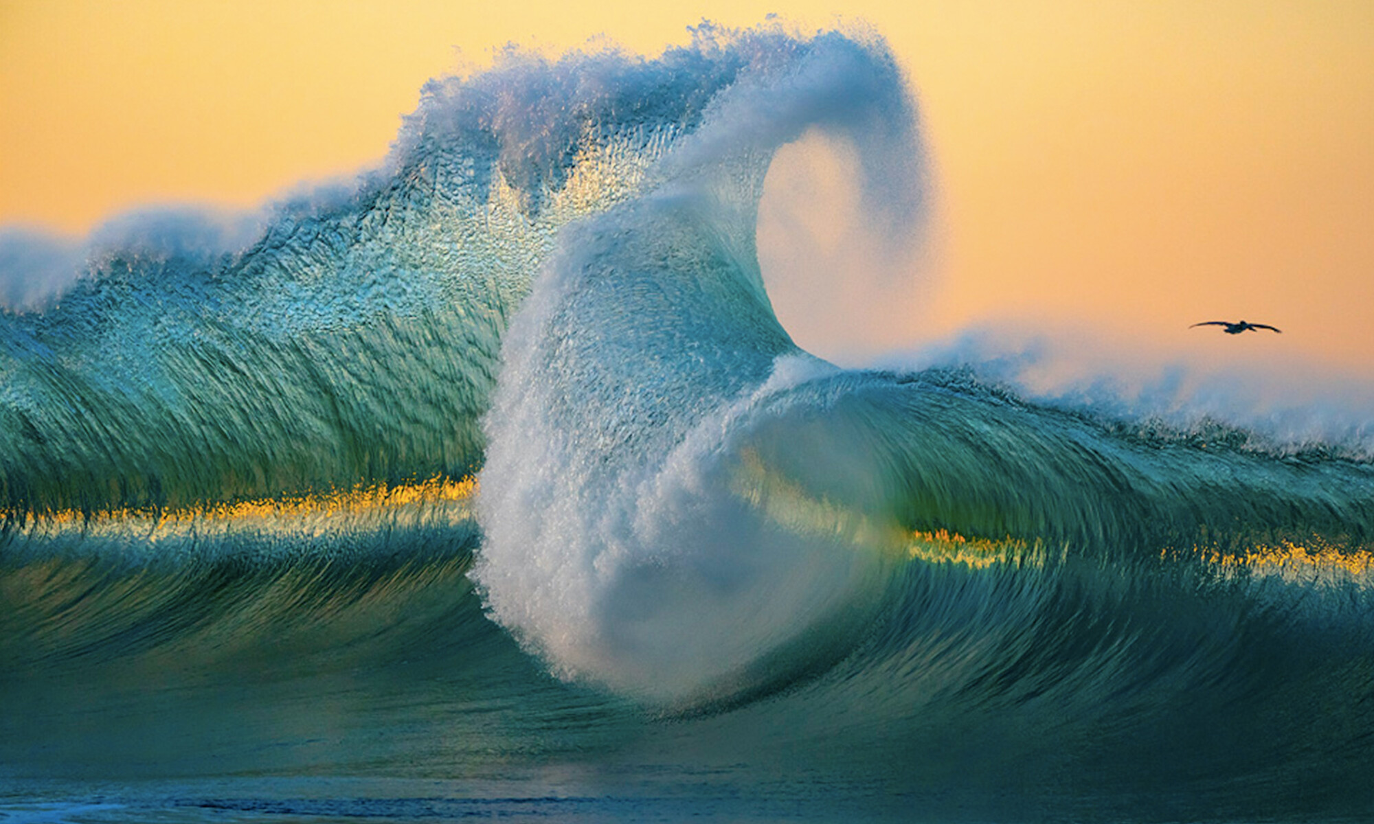 Les magnifiques images de grandes vagues du photographe d'art illustrent la puissance de l'océan