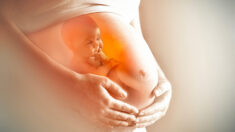 La maternité: souvent sous-estimée, la maternité présente 6 avantages réels selon la science