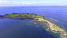 L’île déserte écossaise de Barlocco vendue au prix de 170.000 euros, pour «échapper à l’agitation de la vie»