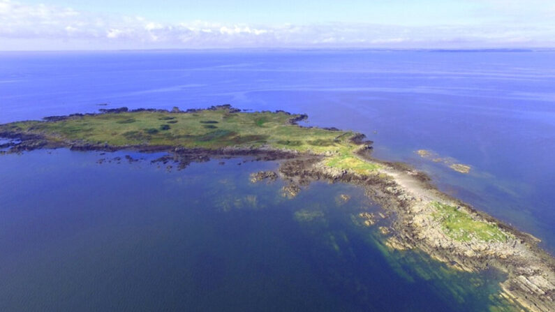 L’île de Barlocco, située dans la baie de Fleet au large de la côte sud de l'Écosse.  (Capture d'écran galbraithgroup.com.)