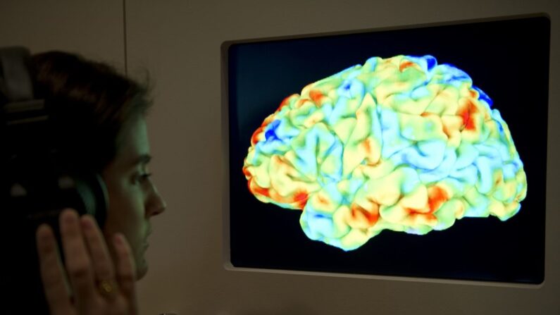 Une femme regarde une image de résonance magnétique fonctionnelle (IRMf) qui montre l'effet du Sacre du printemps de Stravinsky et de la 3e Critique de Kant sur le cerveau humain, lors de la nouvelle exposition majeure de la Wellcome Collection "Brains : mind of matter" à Londres, le 27 mars 2012. (MIGUEL MEDINA/AFP/Getty Images)