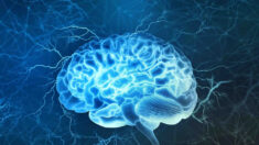 La clarté mentale lors des expériences de mort imminente suggère que l’esprit existe en dehors du cerveau, selon une étude