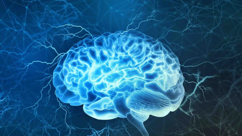 L'esprit peut fonctionner indépendamment du cerveau. (Yurchanka/Siarhei/Shutterstock)