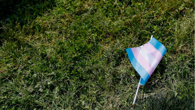 Un drapeau transgenre trône sur l'herbe devant le Capitole à Washington, le 22 mai 2023. (Anna Moneymaker/Getty Images)