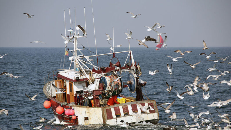 Une « aide à la trésorerie » de 20 centimes (hors taxe) par litre de gazole pour certaines entreprises de pêche, prolongée jusqu'au 15 octobre 2023. (Photo MARCEL MOCHET/AFP via Getty Images)