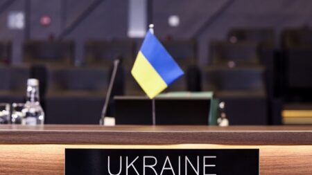 L’Otan cherche des compromis pour l’adhésion de l’Ukraine