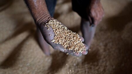 Fruits, lait, céréales: les pays pauvres vont réduire leurs importations alimentaires à cause des prix élevés