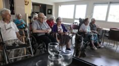 Informations trompeuses: la répression des fraudes épingle les résidences services seniors