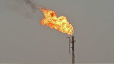 L’Arabie saoudite sabre encore sa production pour doper les prix du pétrole