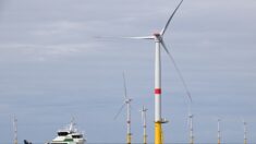 Éolien en mer: la France veut lancer un appel d’offres «massif» en 2025