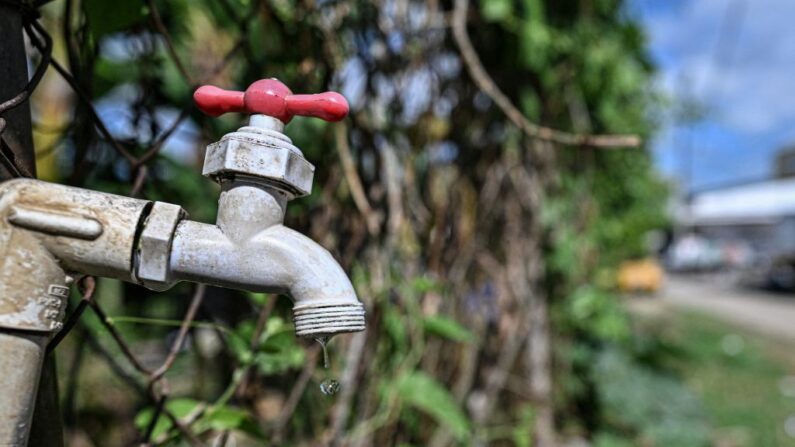 Lancement d'une campagne pour économiser l'eau. (Photo LUIS ACOSTA/AFP via Getty Images)
