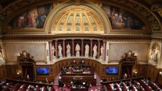 Le projet de loi industrie verte arrive au Sénat