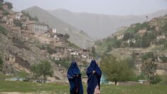 Afghanistan: un gouverneur taliban tué dans un attentat suicide