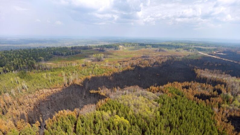 Un paysage brûlé par des incendies de forêt est photographié près de l'entrée, dans la région de Wild Hay, en Alberta, au Canada, le 10 mai 2023. (Crédit photo MEGAN ALBU/AFP via Getty Images)