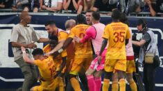 Football: un joueur agressé par un supporter, Bordeaux-Rodez vire au mauvais film