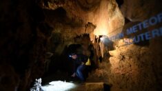 Dans une grotte du Périgord, 500.000 ans d’archives du climat