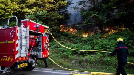 Incendie en cours dans les Vosges, les flammes «progressent doucement»