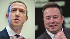 Tech: Elon Musk et Mark Zuckerberg se disent prêts à s’affronter physiquement