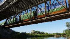 Un train transportant des produits chimiques dangereux déraille dans le Montana après l’effondrement d’un pont