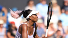 WTA: Wimbledon offre une wild-card à Venus Williams